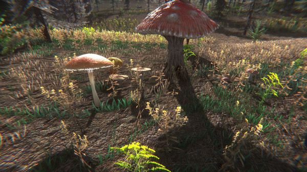 Скриншот из Mushroom Challenge