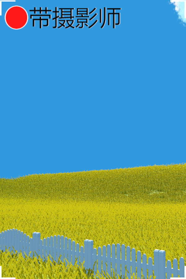 带摄影师 for steam