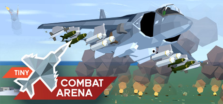 Tiny Combat Arena cover art