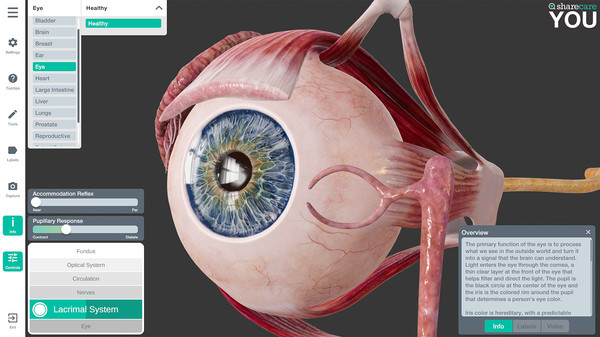 Скриншот из Sharecare YOU Demo