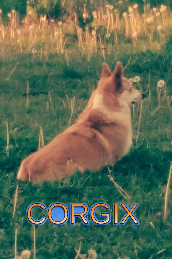 CORGIX for steam
