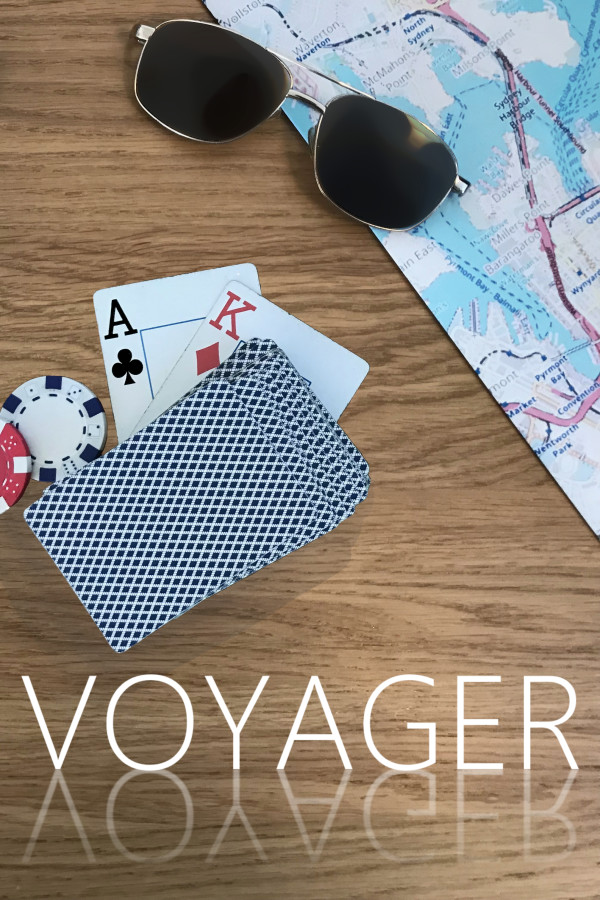 Voyager for steam