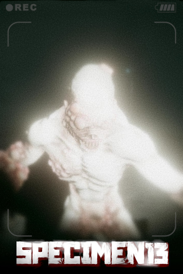 Specimen 13 for steam