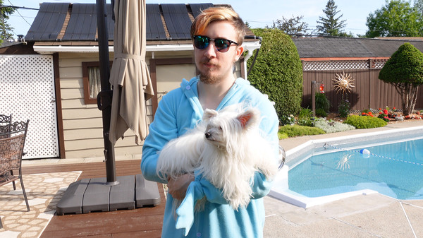 Each Sale I Blow a Balloonfor windows and Linux 1