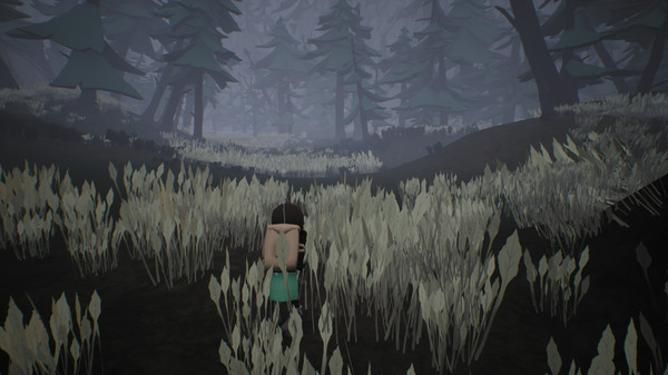 Скриншот из Bound Forest