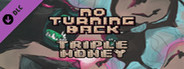 No Turning Back - Triple Money