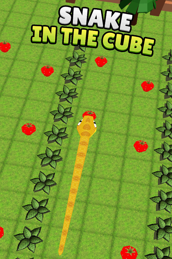Snake In The Cube