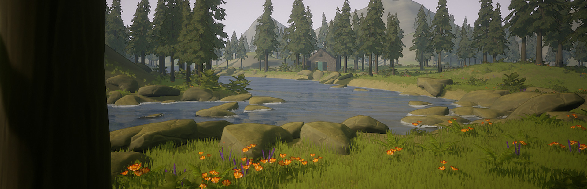 The Place I Called Home