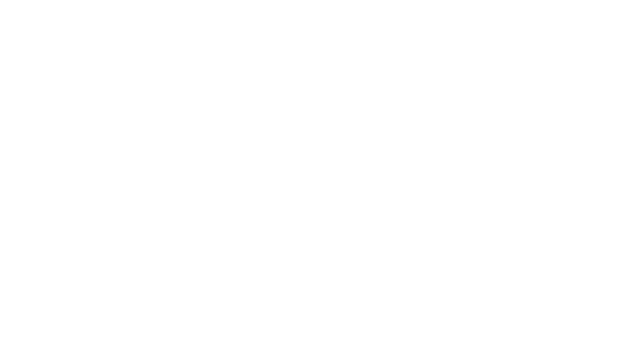 SKYLECT Logo