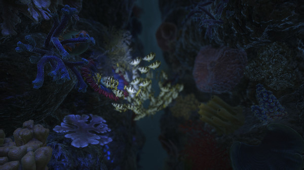 20,000 Miles Under the Seafor windows and Linux 1