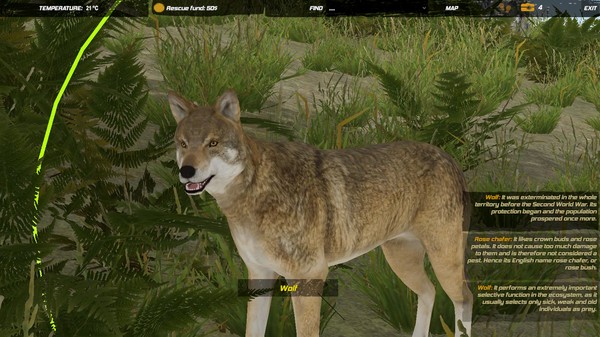 Скриншот из Galvatia