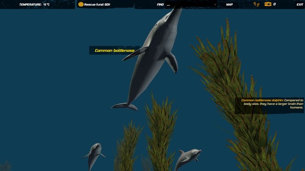 Скриншот из Galvatia