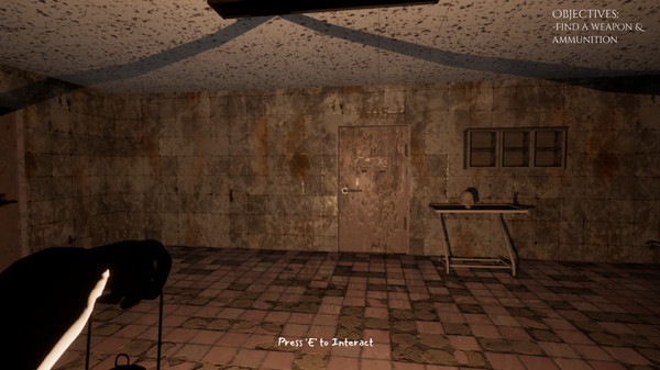 Hanefield Asylum game for windows Pc 1