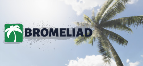 Bromeliad cover art