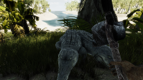 Bromeliad game for windows Pc 1