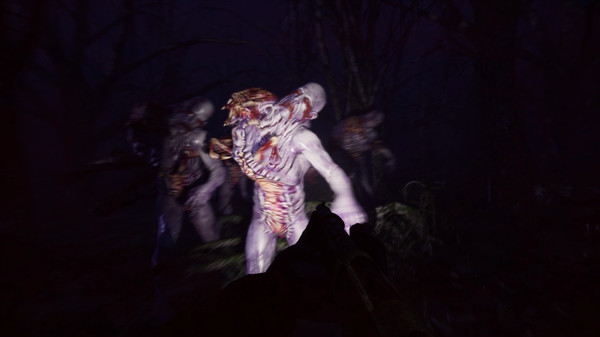 Скриншот из Try to Survive!