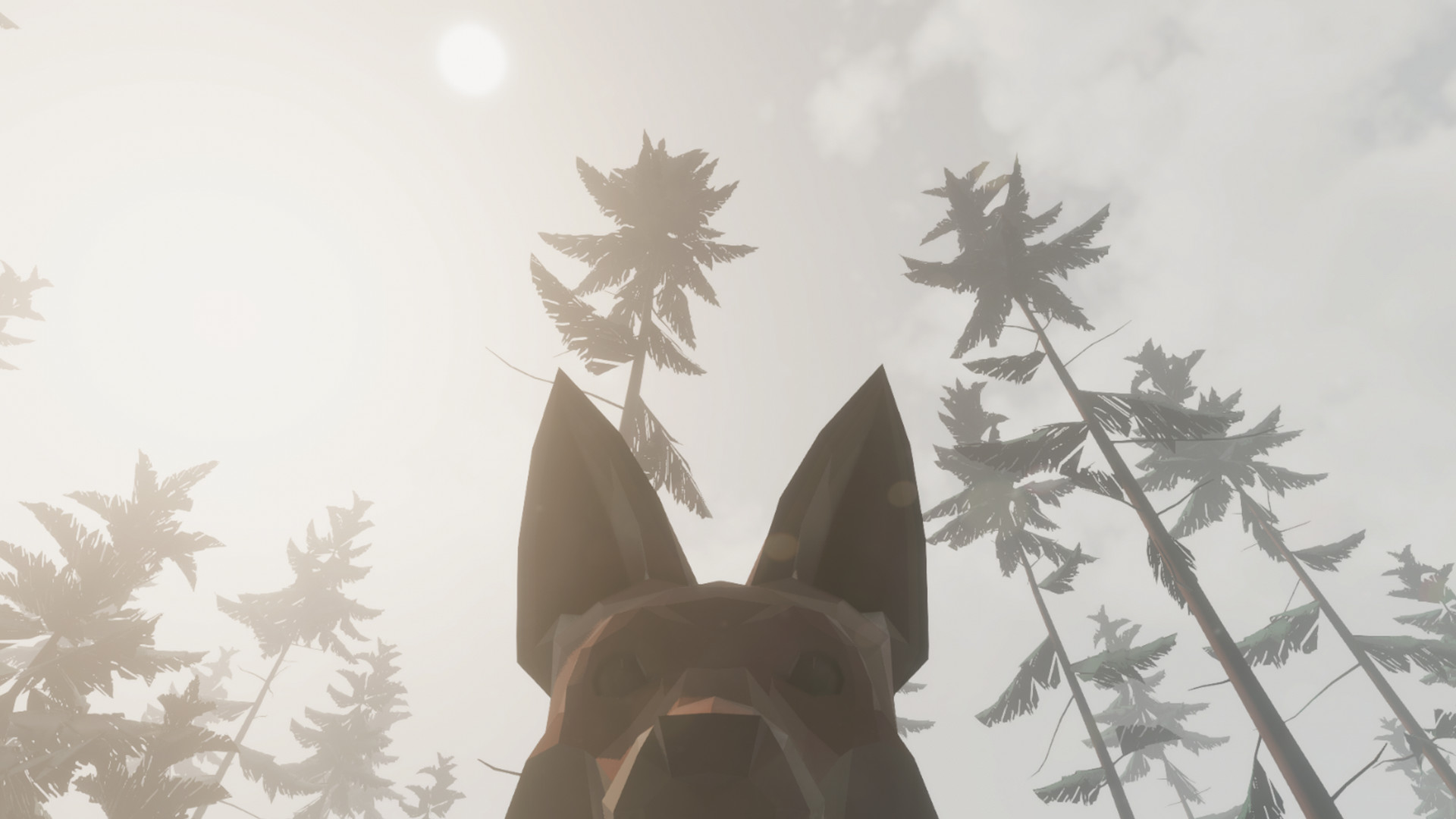 狐狸模拟器/Ultimate Fox Simulator