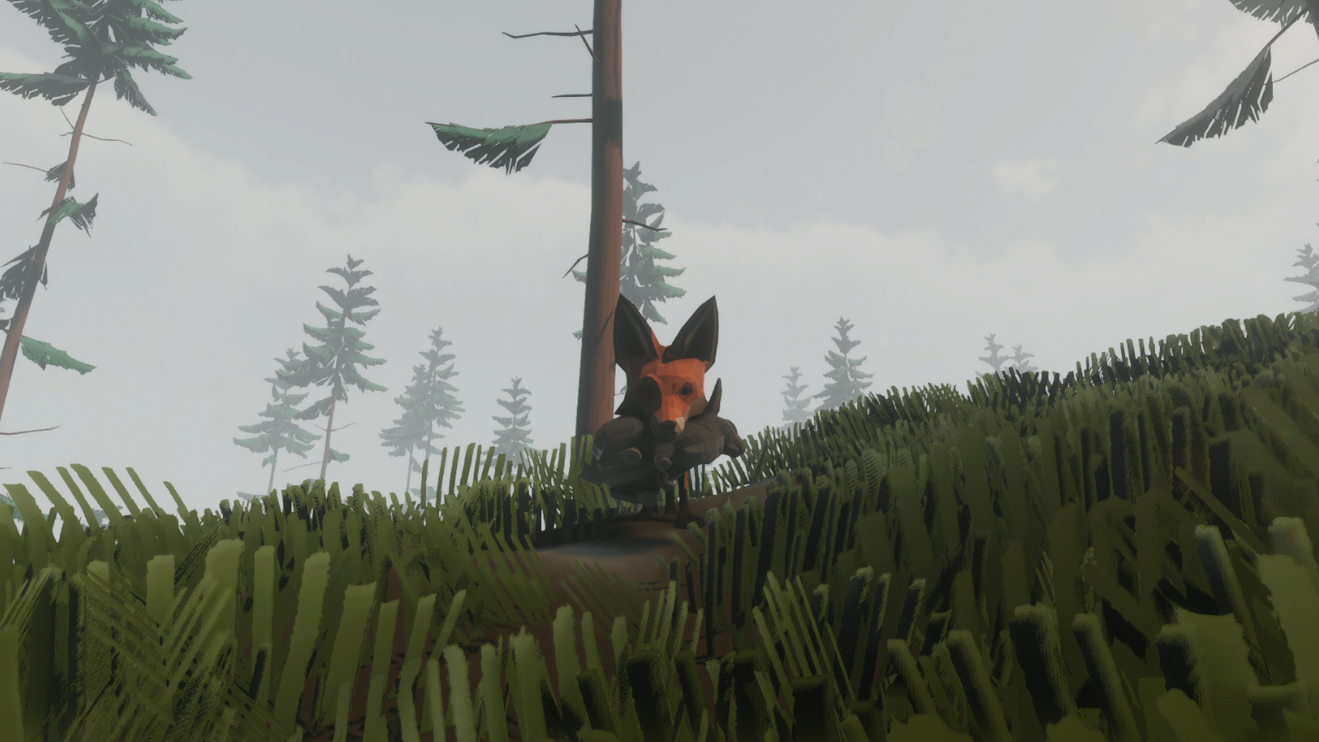 狐狸模拟器/Ultimate Fox Simulator