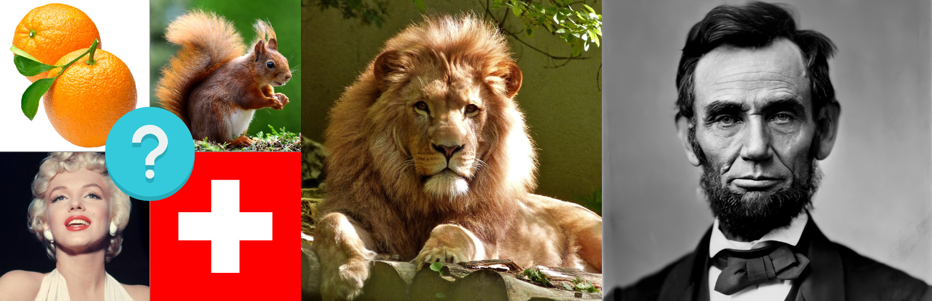 Quiz Pro - Guess Pictures