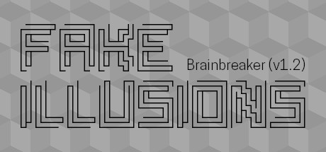 Fake Illusions cover