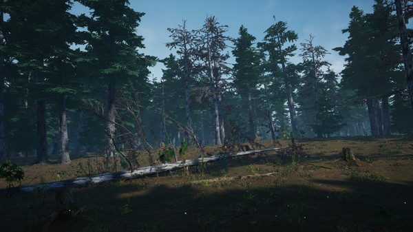 Скриншот из Mushroom Picker Simulator