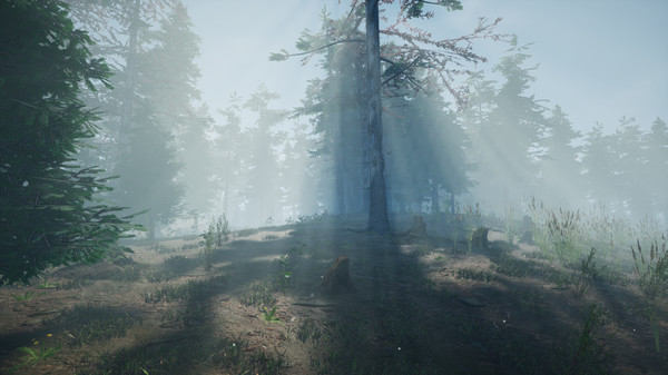 Скриншот из Mushroom Picker Simulator