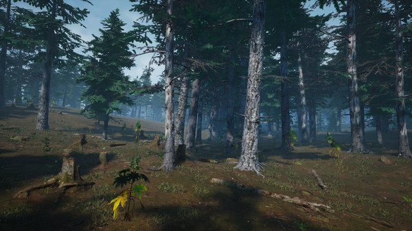 Скриншот из Mushroom Picker Simulator