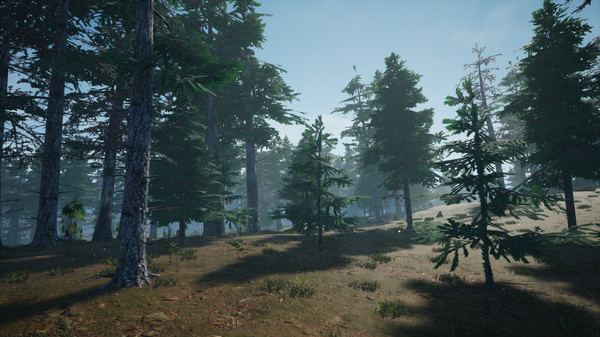 Скриншот из Mushroom Picker Simulator