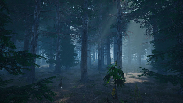 Скриншот из Mushroom Picker Simulator