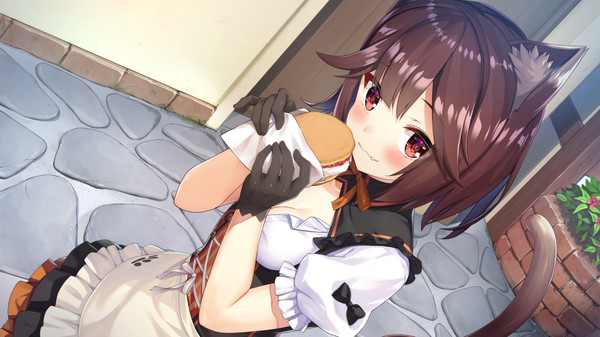 Fantasy Tavern Sextet -Vol.1 New World Days- game for windows Pc 1