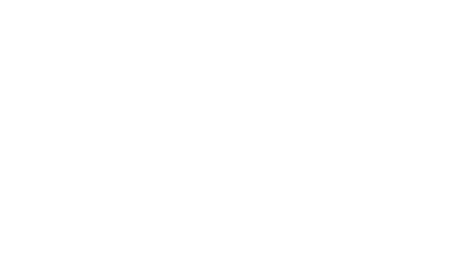 The Citadel Logo