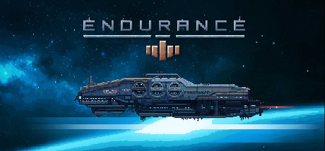 Endurance - space shooter cover art