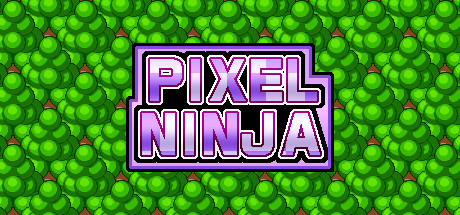Pixel Ninja cover art