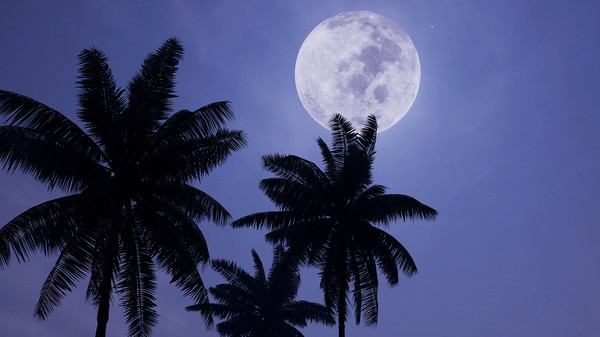 Скриншот из Virtual Vacations