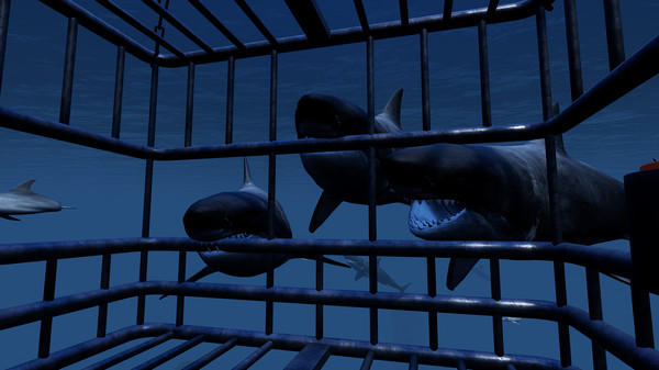 Скриншот из Virtual Vacations