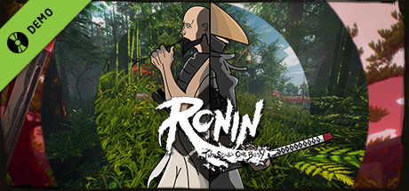 Ronin: Two Souls One Body Demo cover art
