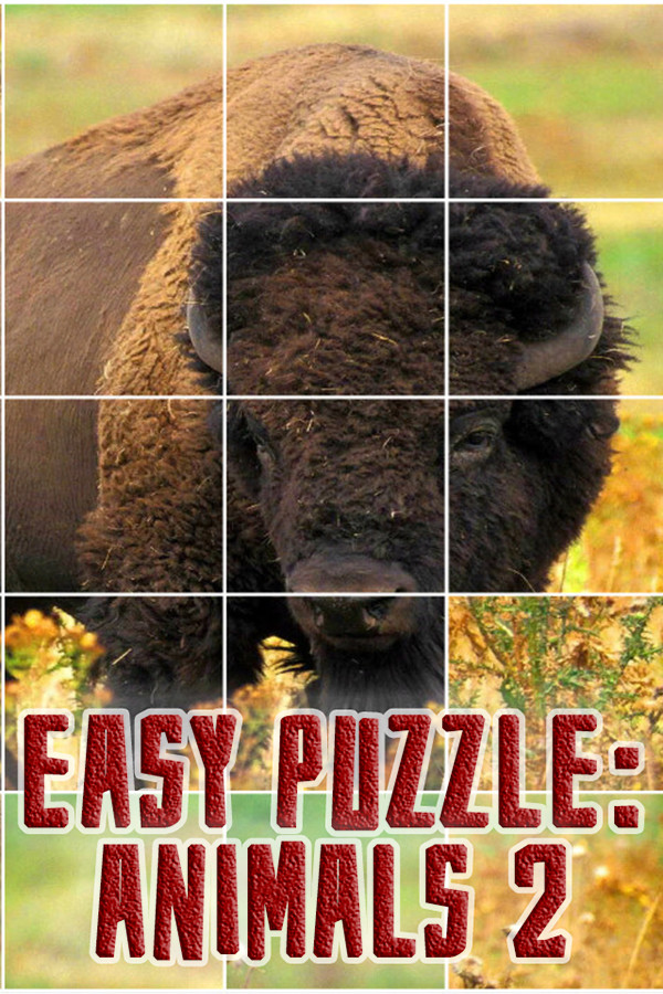 Easy puzzle: Animals 2 for steam