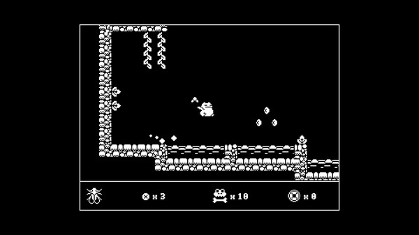 Dojoranfor windows and Linux 1