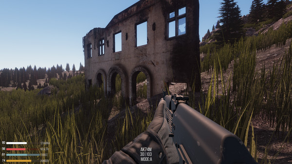 Curse Lslandfor windows and Linux 1