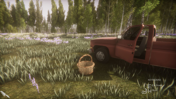 Скриншот из Flower Challenge