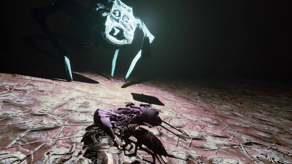 S H R i M P game for windows Pc 1