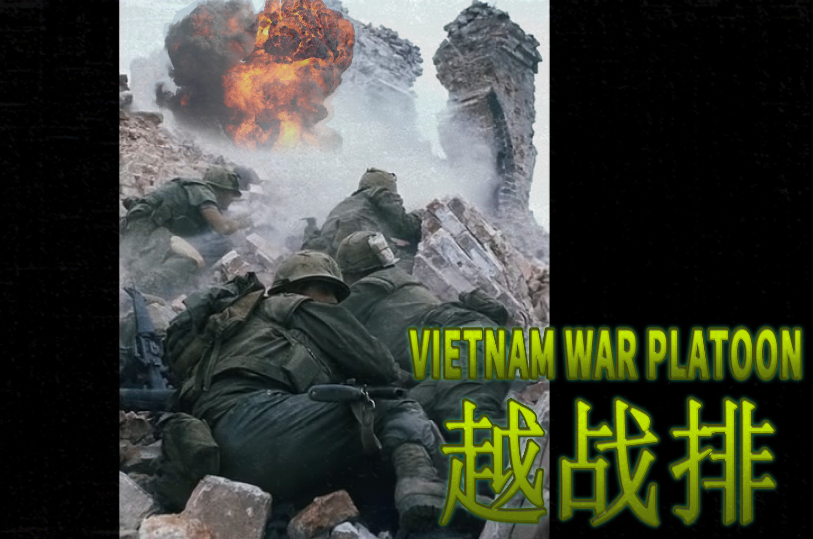 越战排/VIETNAM WAR PLATOON