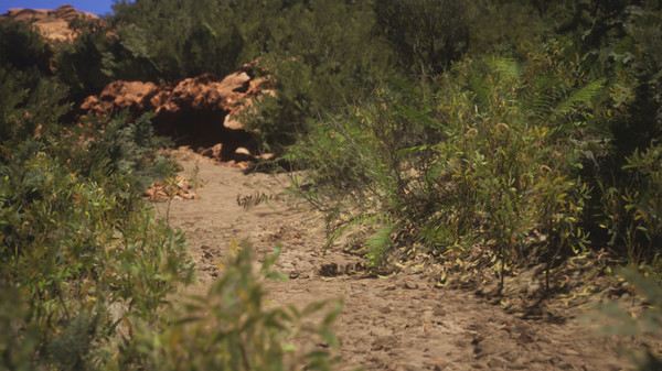 Скриншот из Castle Rock Beach, West Australia