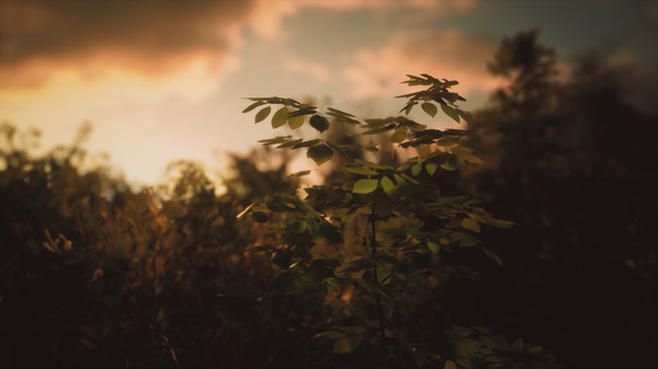 Скриншот из Castle Rock Beach, West Australia