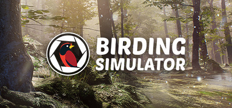 Birding Simulator cover art