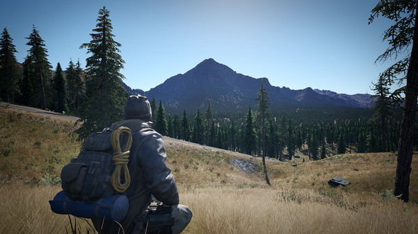 Last Hope on Earthfor windows and Linux 1