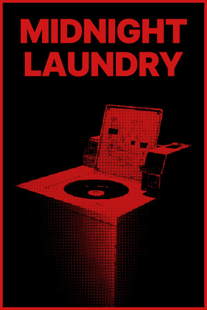 Midnight Laundry game image