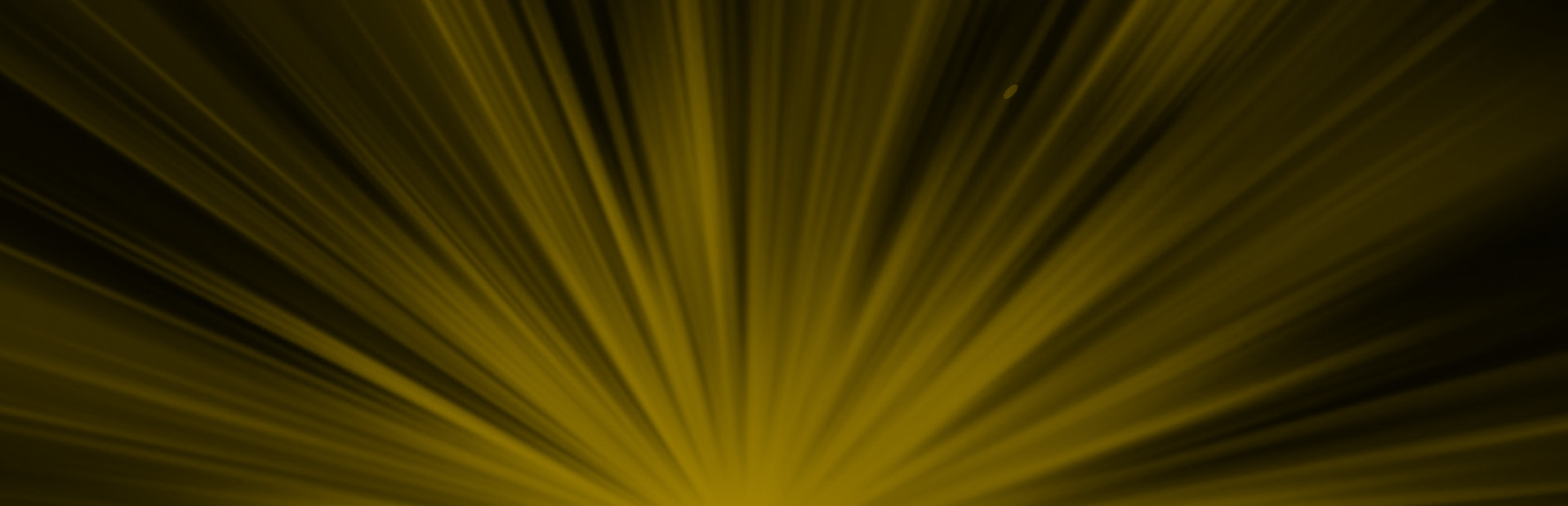 Legendary Boxing Belt