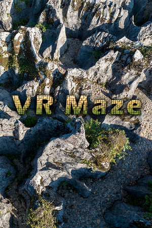 VR Maze