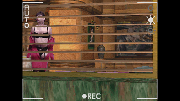 Скриншот из Voyeur